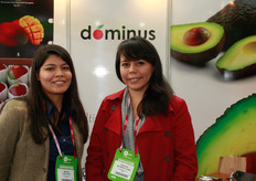 Melisa Caballero and Marleny Becerra Cubas (Dominus)