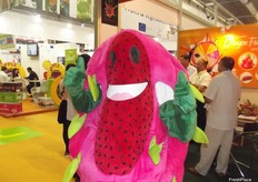 A friendly Dragon Fruit looking for a photo opportunity!