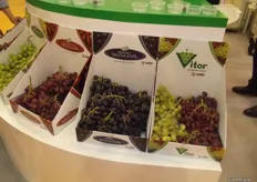Some of the grape varieties on display at the Costa stand.