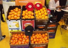 A selection of citrus from Seven Fields.