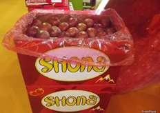 The new Shona brand of apples from Distrimex