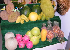 .. exotic products from Malaysia