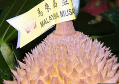 .. it might be the world´s stinkiest fruit and yet, consumers are learning to love Malaysian durian