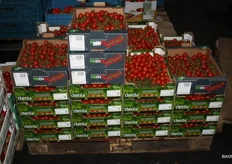 Germans love tomatoes from VDN and The Greenery...
