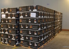 Coldstore where products are stored for a check and to get transported.