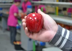 Groupe Rouquette is using a new wax to protect the apple and to give it a shiny look.