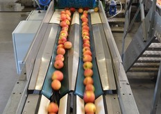 Here the apples are washed