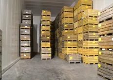 Storage room for the apples