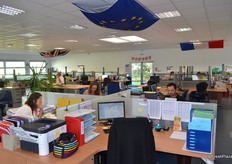 The sales office of Blue Whale in Montauban