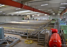 The sorting machine ahs a capacity of 20 tons an hour