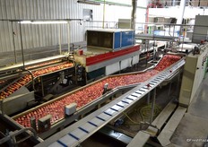 But first it needs a wax layer