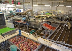 Overview of the packing area