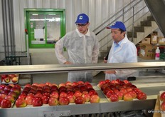 Beautiful waxed apples