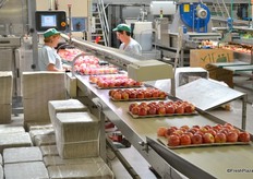 Layers of apples on transport to end in open top box