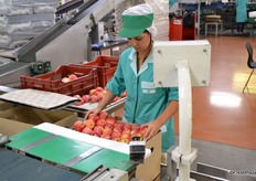 Carefully layer for layer ends up in the box