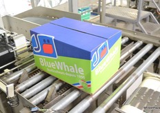 Now the boxes can be shipped to far destinations