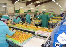 overview of the packinghouse