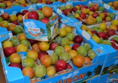 A mixed pallet of plums. They are randomly selected so there is a good mix of colours in the pack.