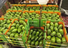 Avocados from Chile are up in price.