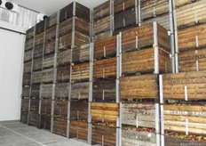 The company has 70 coldstore chambers with a total capacity for 15,00 tonnes.