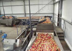 Bins are tilted in under water so that the apples are not damaged.