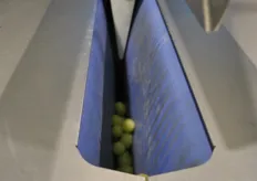 A grape de-stemmer form Kronen. The blue parts in the machine slide smoothly towards each other to get the grapes loose from the stem.