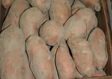 Covington-sweet potatoes
