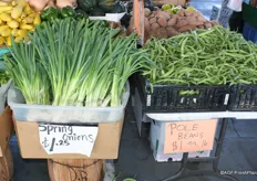 Spring onions and green beans