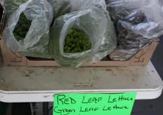 Kale and alternative lettuce. 2 dollars a bag or 3 for 5 dollars
