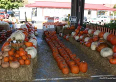 5 dollars for a pumpkin or a bale of straw