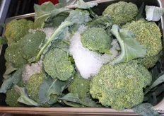 Broccoli on ice