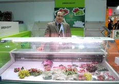 Khaled Shaker, export manager of Green Egypt
