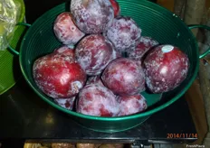 Loose giant plums.