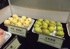 Gong (Yellow Su) pears and Hongxiangsu pears.