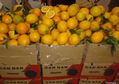 Oranges from Shanghai Longwu Fruit & Vegetable market.