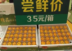 Mandarins from Nanfeng.