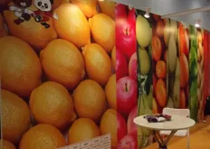 Sichuan Longtime Lemon Development Co had a stunning back drop to the stand.