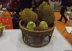 The noble Durian.