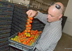 Erez Eitan shows the harvested tomatoes in his packing house.