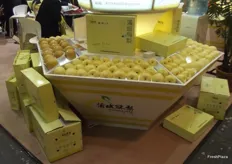 Puching Pear had a lovely display of Chinese pears. One of first Chinese companies to start promoting a brand.