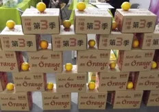 Nice display of oranges from Benlai Co.