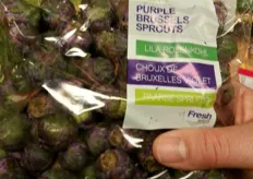 Purple sprouts from the Netherlands