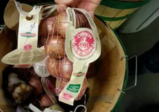 Exclusive pink onions from French Roscoff (Brittany)