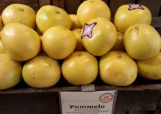 Giant pomelos at 3.99 each