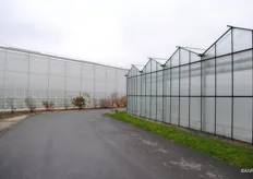 The contrast between old and new greenhouses in the region.