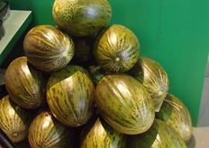 A new extra sweet Piel de Sapo melon from Sakata.