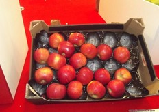 Apples from Bialski Owoc.