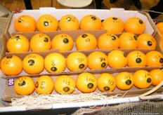 Egyptian oranges available in different sizes