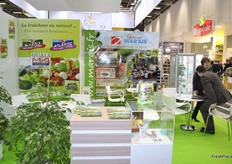 Groupe Marais is a French company that can provide you their fresh vegetables directly from the field