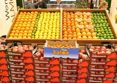 Paramount Citrus had a display of a selection of citrus, including Halos